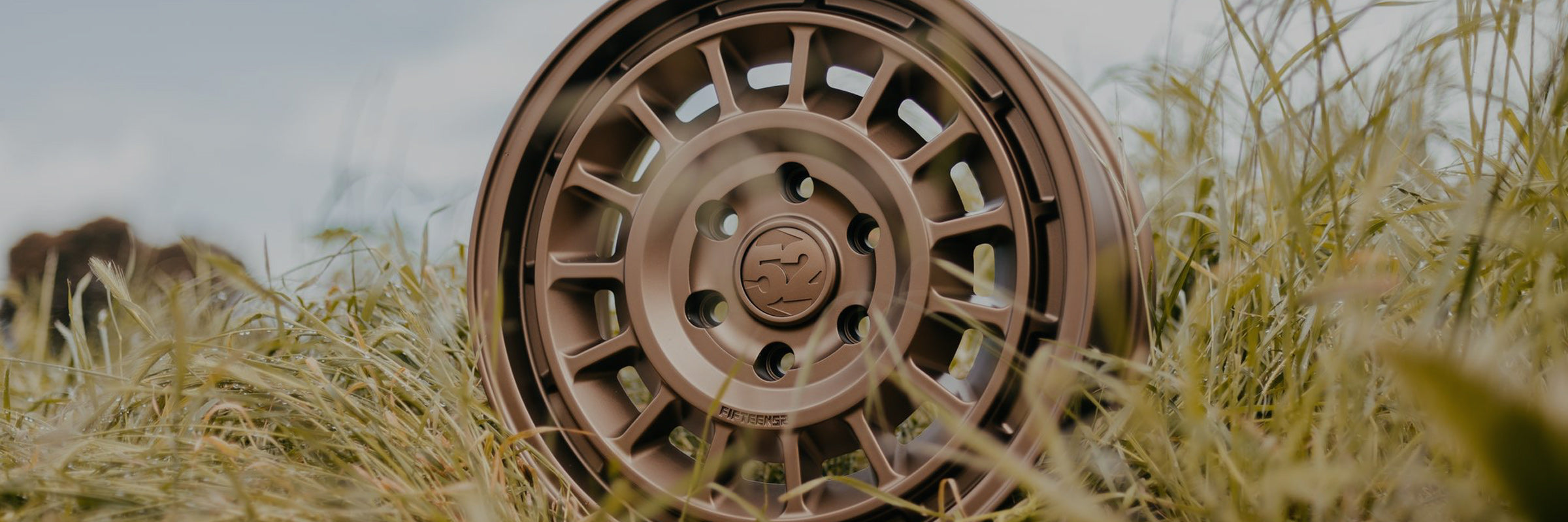 Bronze Wheels