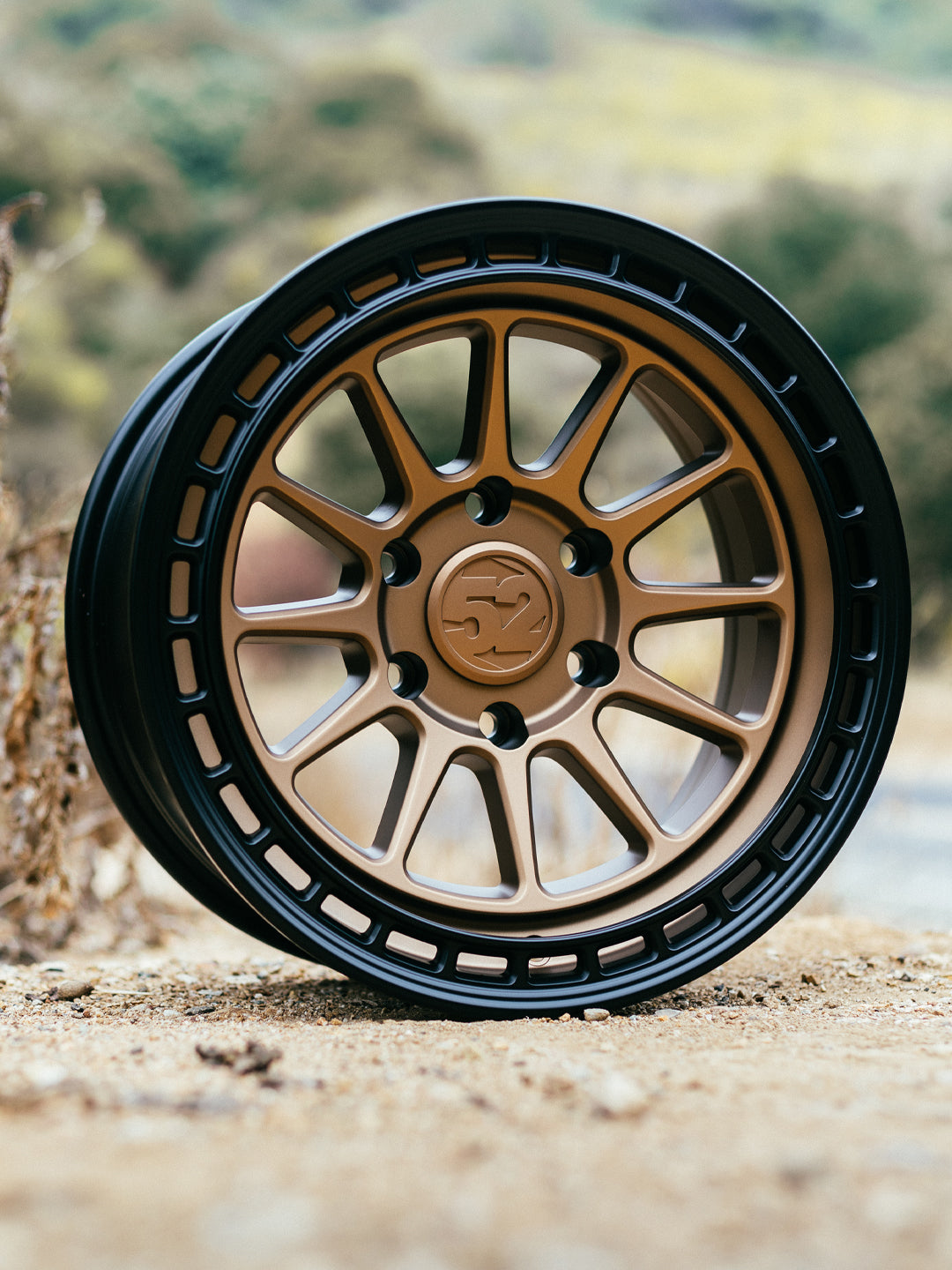 fifteen52 Bronze Wheels